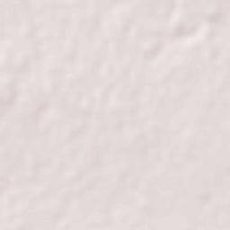 Sevagram Terrain Map