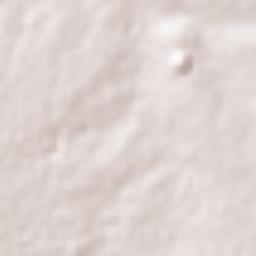 Guadalajara Terrain Map