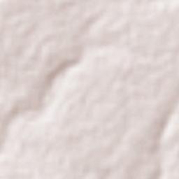 Bajío de Ratones Terrain Map