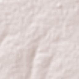 Bajío Seco Terrain Map