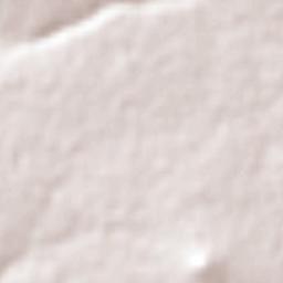 La Rosa de Castilla Terrain Map