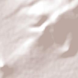 Villas de Irapuato Terrain Map