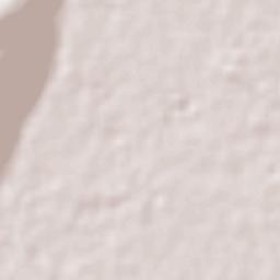 Irapuato Terrain Map