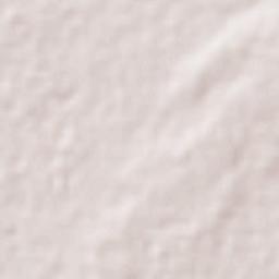 Carrizal Grande Terrain Map