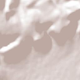 La Ordeña Terrain Map