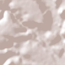 El Naranjillo Terrain Map