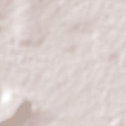 Las Trojas Terrain Map