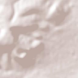 Ajuchitlán Terrain Map