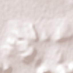 Villa Guerrero Terrain Map