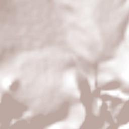 El Palmar Terrain Map