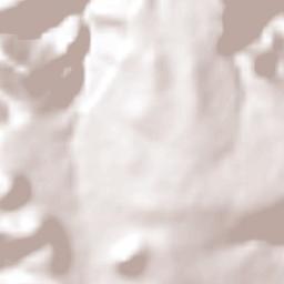 Bella Vista del Río Terrain Map