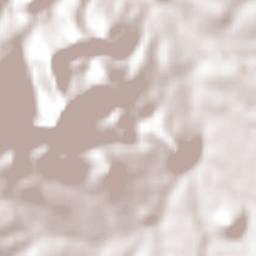 Álvaro Obregón Terrain Map