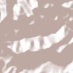 Tzicatlán Terrain Map