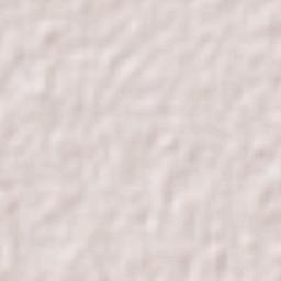 San Francisco Grande Terrain Map