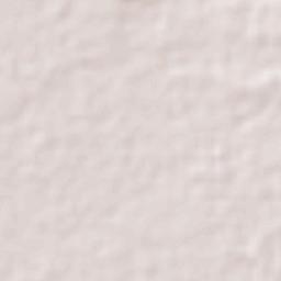 Alfredo V. Bonfil Terrain Map