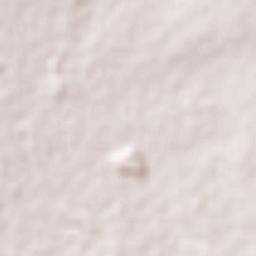 Jesús María Terrain Map