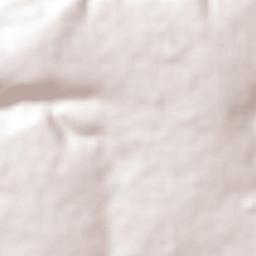 San José de las Flores Terrain Map