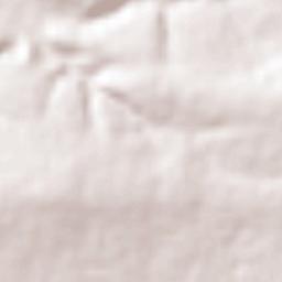 Corralillos Terrain Map