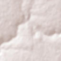 El Ojo de Agua Terrain Map