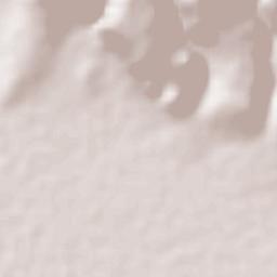 Rancho Nuevo de la Cruz Terrain Map