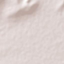 Cuchicuato Terrain Map