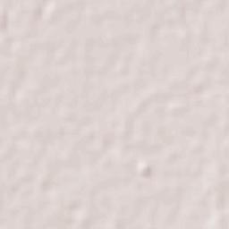 El Carmen Terrain Map