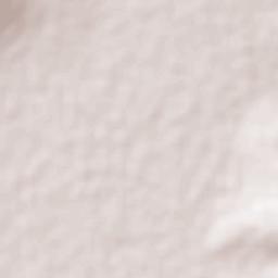 El Recuerdo de Ancón (Xoconoxtle de Arriba) Terrain Map