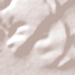 San Elías Terrain Map