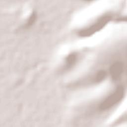 Empalme Escobedo Terrain Map