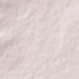 La Griega Terrain Map