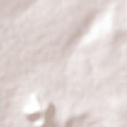 El Gallo Terrain Map