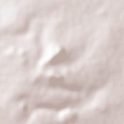 Santa Rosa de Lima Terrain Map