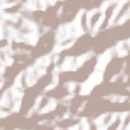 El Zapote Bravo Terrain Map