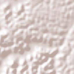 El Volador Terrain Map