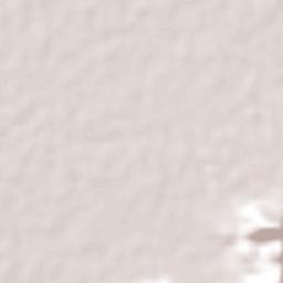 San Juan de los Arcos Terrain Map