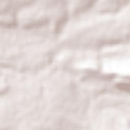 Zapotlanejo Terrain Map