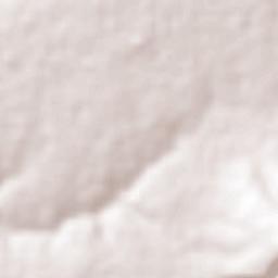 El Laurel Terrain Map