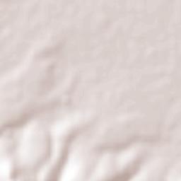 Cuerámaro Terrain Map