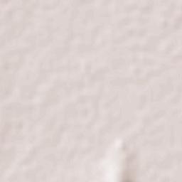 La Soledad Terrain Map