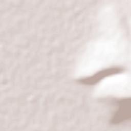 Cerro Gordo Terrain Map