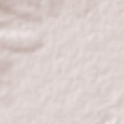 San José de la Montaña Terrain Map