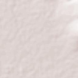 La Aurora Terrain Map