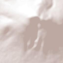 Jauregui Terrain Map