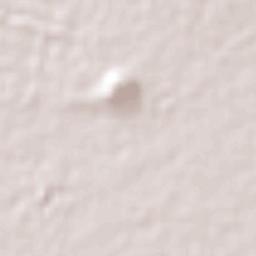 Purísima de Cubos (La Purísima) Terrain Map