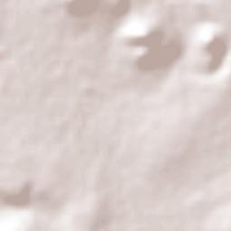 El Tejocote Terrain Map