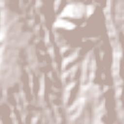 El Bingú Terrain Map