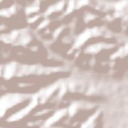 Pisaflores Terrain Map