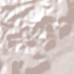 El Águila Terrain Map