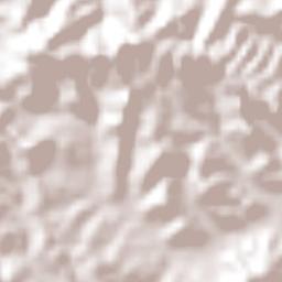 Adolfo Ruíz Cortines Terrain Map