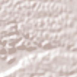 Puente de Piedra Terrain Map